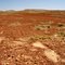 Gibber Desert on the Oodnadatta Rd