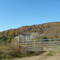 stone quarry near Lawton PA