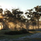 Sunrise Easter Sunday 6