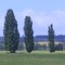Forest edge farmland