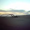 Driftwood at Sunset