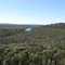 Marlo countryside - Marlo-Cabbage Tree Road