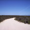 Road2
