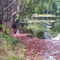The Lake
