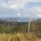 View from the top of Palm Island