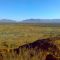 Desert outside Papunya