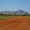 Papunya
