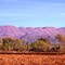 Pilbara