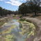 The 'almost dry' Darling River