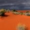 South of Birdsville