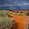 Birdsville track