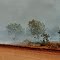 Bush fire / Great Northern Hwy, WA (Aug. 1979)