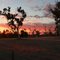 Home Paddock Sunset 3