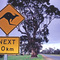 Roo Xing next 10km