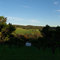 Bullsbrook - Mandarine Grove