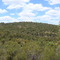 Late Spring in the Hills (looking NW)