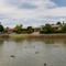 Petworth Lake Greenwith (Taken by GrantHu)