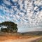 Clarkefield Vista