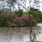 Rupertswood