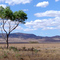 On the road into Port Pirie
