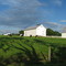 Holsteins in Lancaster County