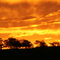 Fiery Orange Sunset