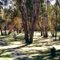 New Crossing Reserve Lions Park, Goulburn Rv, Seymour