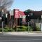 Tai Pan - the best Yum Cha in the eastern suburbs (2009)