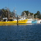 Fishing Fleet, Yamba