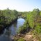Blackmore River near Berry Springs, NT