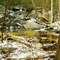 Tumbling Run/Lewis Falls