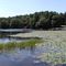 Laurel Lake
