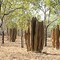 Kakadu National Park - Australia