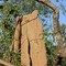 Kakadu National Park - Australia