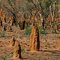 Australia - Outback