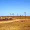 The windmills of Penong, Sth Australia