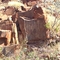 Aboriginal rock carvings