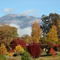 Bright autumn