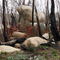 Mount Bufflo few months after fire