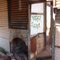 Old House On Yarri Road-September 2011
