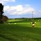Hayfield