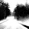 Foggy Road