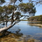 Lashmar Conservation Park
