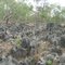 Limestone outcrops at Cutta Cutta Caves near Katherine, NT