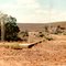 Phillip Ponds Station Abandoned House & Cemetry 1992