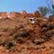 Phillip Ponds Station North of Woomera 1992