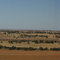 pyramid hill pan