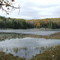 Black Moshannon Lake