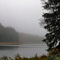 black moshannon morning