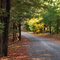black moshannon trail